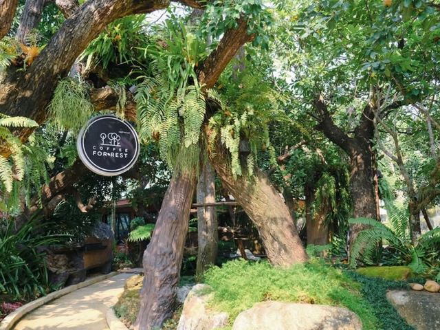 🌳🪨 𝐂𝐨𝐟𝐟𝐞𝐞 𝐟𝐨𝐫 𝐑𝐞𝐬𝐭 🪵🌳 ฉะเชิงเทรา
