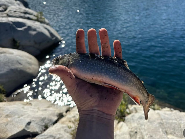 Exploring Desolation Wilderness: Your Guide to California’s Backcountry Paradise