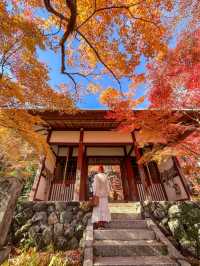 京都嵯峨野の紅葉名所😊🍁小倉山の常寂光寺🍁