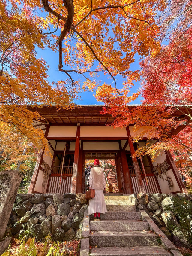 京都嵯峨野の紅葉名所😊🍁小倉山の常寂光寺🍁