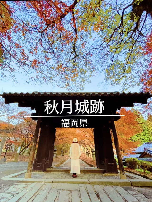 福岡観光🥰情緒ある秋月城跡🏯紅葉も美しい🍁