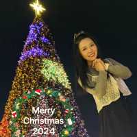🇭🇰香港最靓巨型聖誕樹🎄熊貓🐼打卡位🥰你仲唔快d去打卡