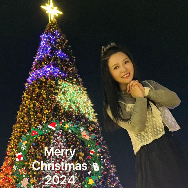 🇭🇰香港最靓巨型聖誕樹🎄熊貓🐼打卡位🥰你仲唔快d去打卡