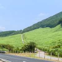 箱根の仙石原