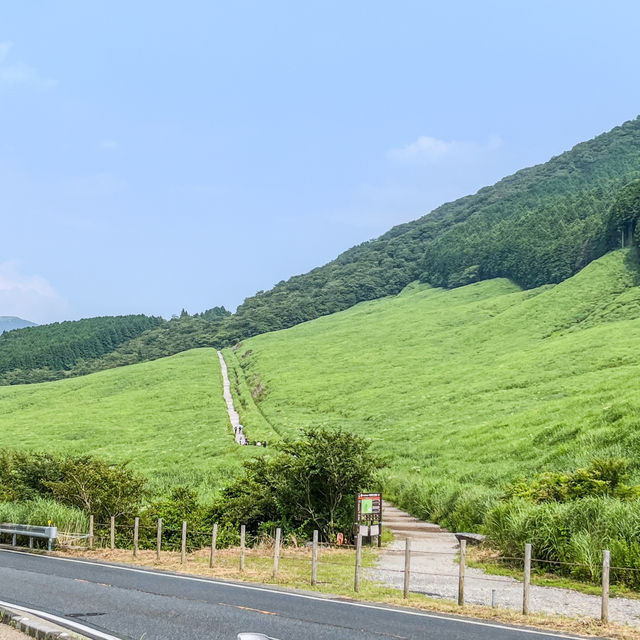 箱根の仙石原