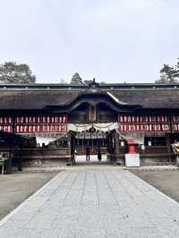 探訪仙台大崎八幡宮⛩️，感受歷史與靈性之美
