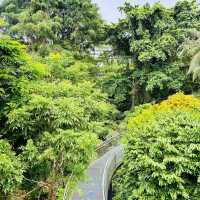 Southern Ridges