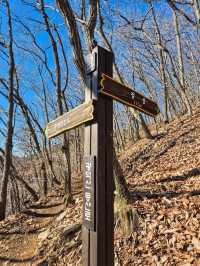 🌲 신년맞이 초보자도 즐길수 있는 겨울여행 광덕산 🌲