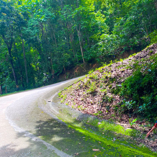 โลหะประสาทที่สวยที่สุดในประเทศไทย