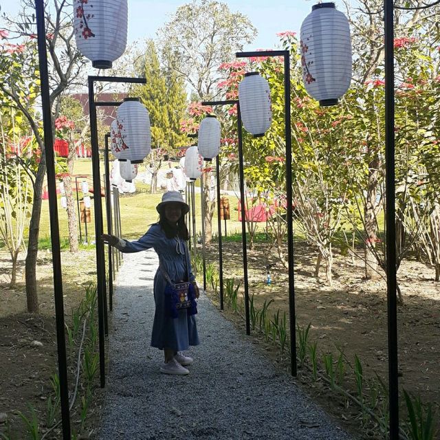 Hinoki Land