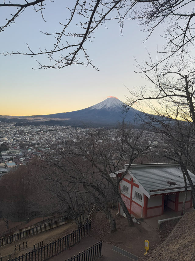 Arakurayama Sengen Park
