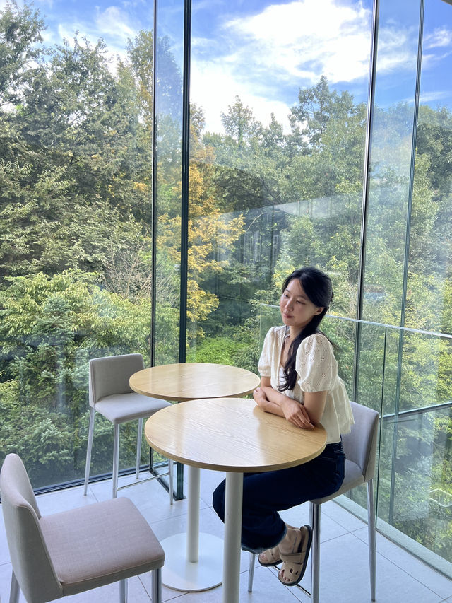 고급스러운 카페! 의정부 아나키아 