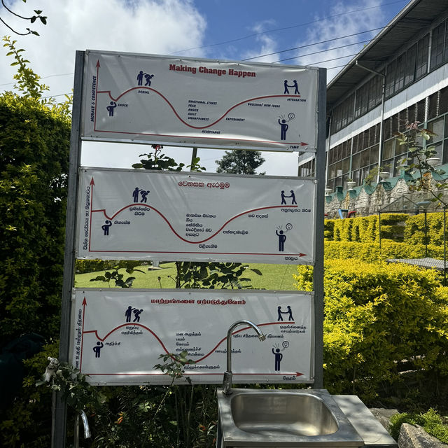 斯里蘭卡🇱🇰 - Lipton發源地