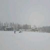 北海道旅遊🥳四季彩之丘雪景打卡熱點💓自駕雪車體驗分享🛞