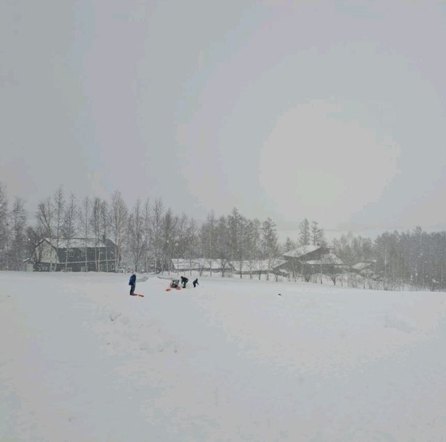 北海道旅遊🥳四季彩之丘雪景打卡熱點💓自駕雪車體驗分享🛞