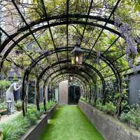 Canal-Side Chic: My Artistic Adventure at Andaz Amsterdam!