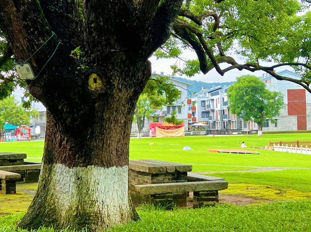 珠海會同古村：嶺南風情的歷史瑰寶🏯