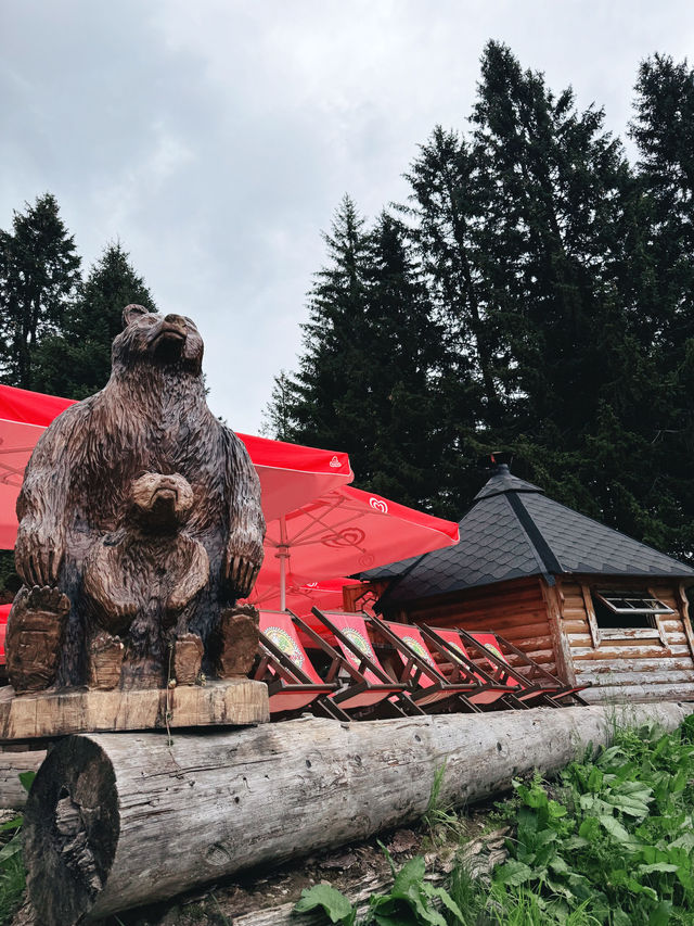 瑞士🇨🇭|挑戰Frakmuntegg長滑梯! 瑞士🇨🇭|挑戰Frakmuntegg長滑梯!