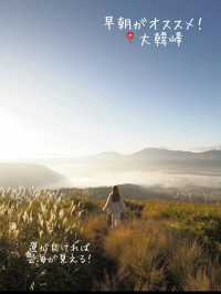 阿蘇で行きたい、絶景3選