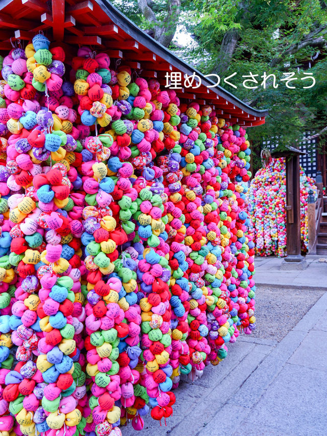 フォトジェニックな人気のお寺【八坂庚申堂】