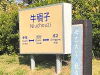 情人節好去處🤍牛稠子車站公園 🚉❤️