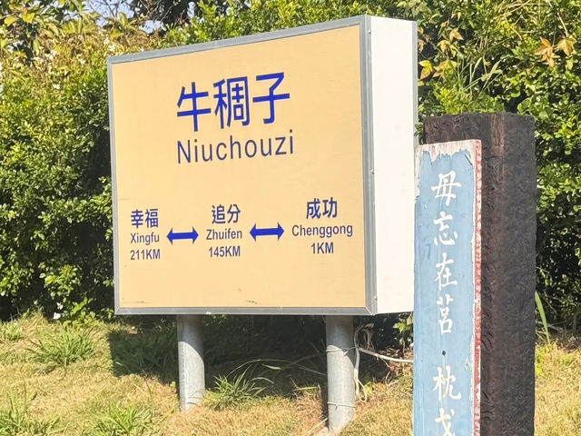 情人節好去處🤍牛稠子車站公園 🚉❤️