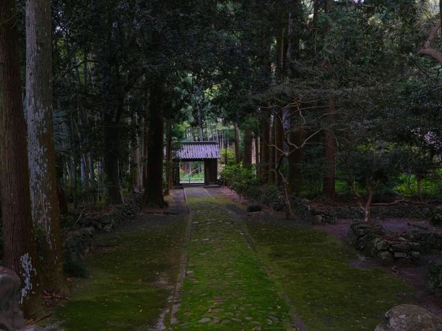 【駿府城下町（①今川氏の栄耀と寺社）】（静岡県静岡市　旧国名：駿河）