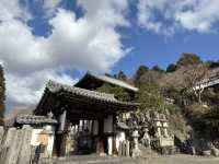 🕊️東大寺：千年古寺的莊嚴與感動🕊️
