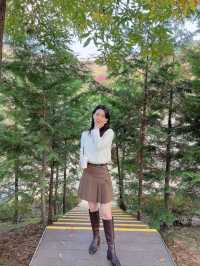의정부 단풍 즐기기 좋은 파크프리베 카페