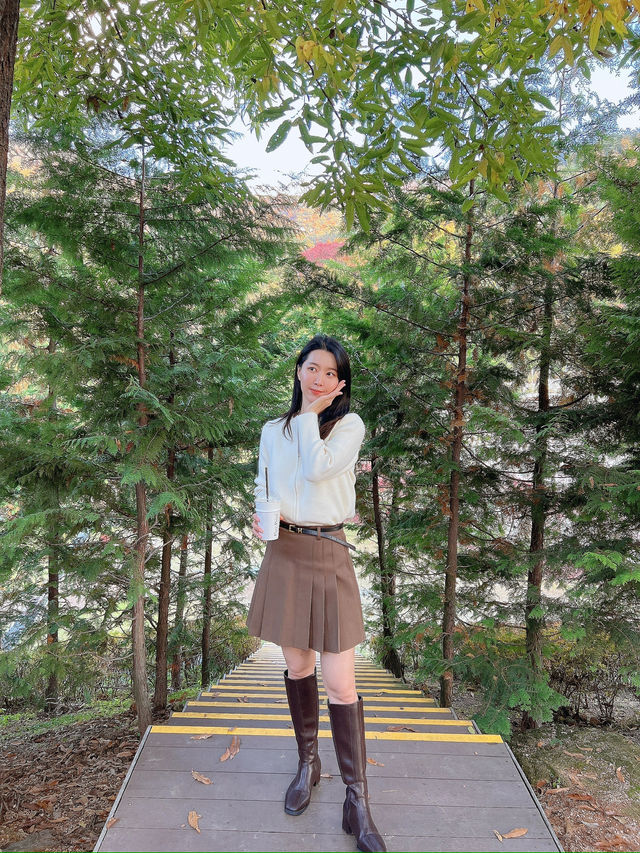 의정부 단풍 즐기기 좋은 파크프리베 카페
