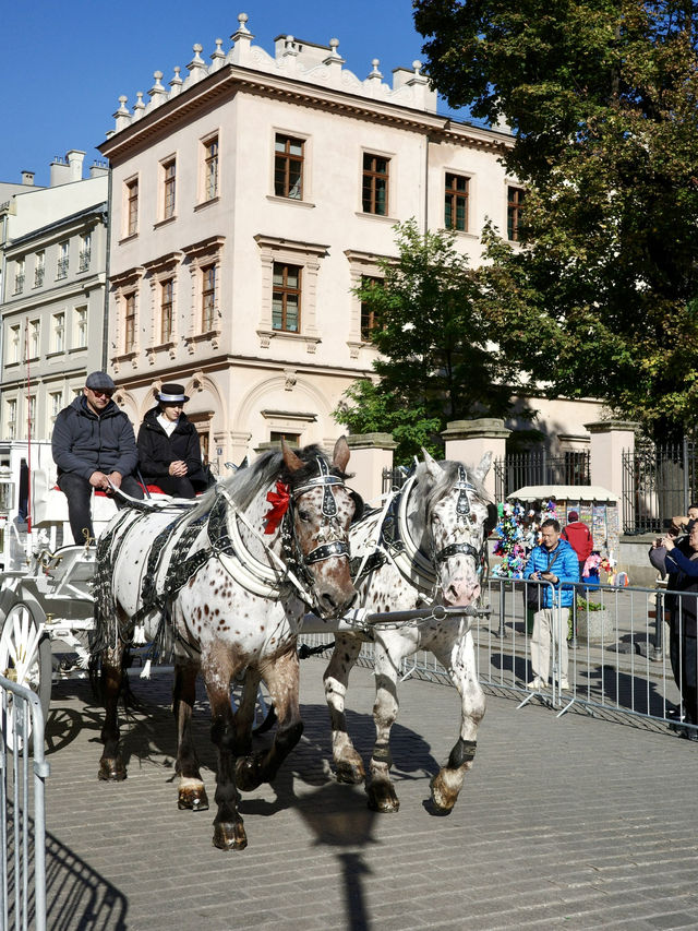 📍クラクフ旧市街/ポーランド