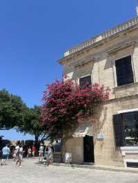 異国感漂うマルタ共和国🇲🇹💖