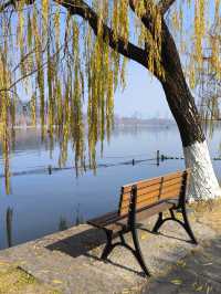 Morning walk at West Lake, Hangzhou