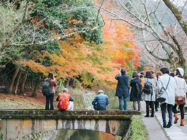 ถนนสายปรัชญา (The Philosopher's Walk)