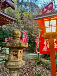 ⛩ 🦊✅佐助稲荷神社（鎌倉）攻略ガイド – 隠れたパワースポット！