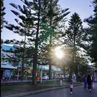 悉尼最受歡迎的海灘之一 - 曼利海灘 Manly Beach