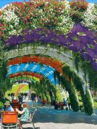 An awesome day spent at Dubai miracle garden 🪴 
