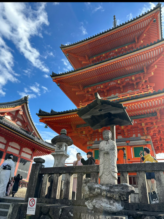 【京都】大人女子におすすめしたい🍵🤍ゆるりとめぐる京都✨