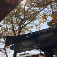 Baan Thong Krub บ้านทองกลับ 
