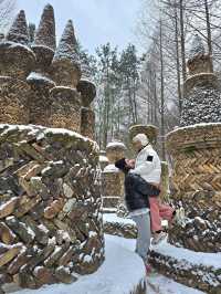 눈맞으며 힐링하기 좋은 대전여행지❄️