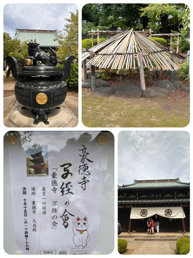 尋找東京🇯🇵招財貓🐱之旅 (二)
