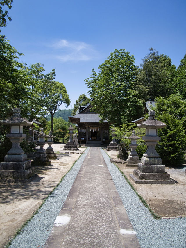 【大分】縁結びのパワースポット💪花手水もある神社で良縁祈願💐 