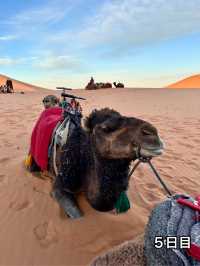 🇲🇦モロッコ旅行記　VOL.2