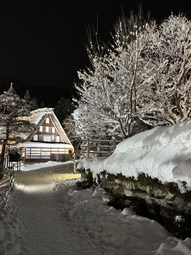 Hida folk village
