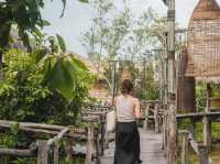 PHATTHALUNG 🌱🌤️