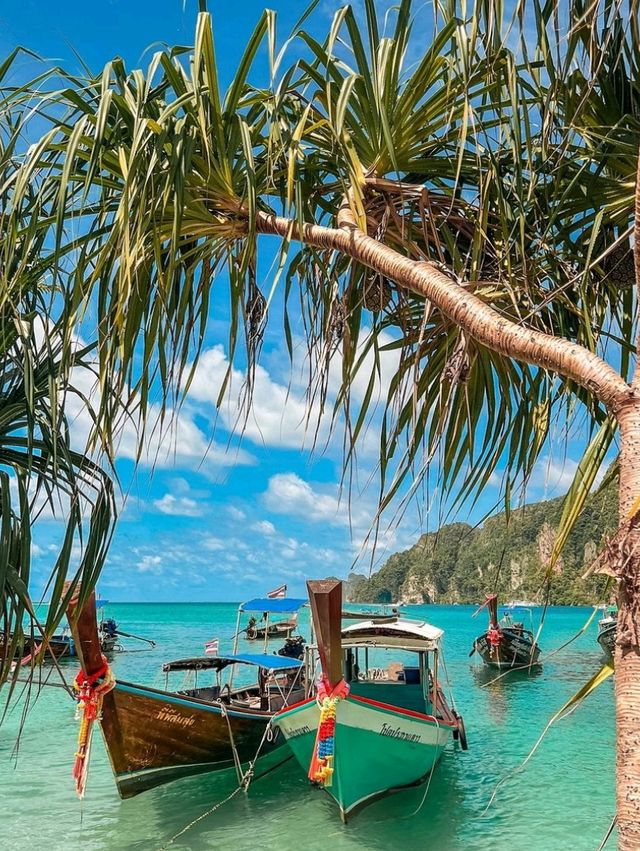 🏝️ Explore the Beauty of Phi Phi Islands! 🌊✨