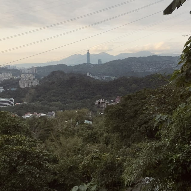 幽靜古樸的指南宮竹柏參道—彷彿走進日式秘境