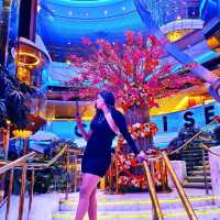 🌊🚢 Cordelia Cruise: A Dream Voyage from Mumbai to Sri Lanka! 🇮🇳➡️🇱🇰