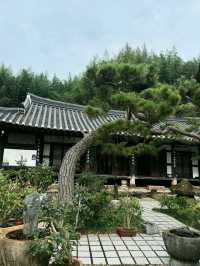 Boseong Cafe