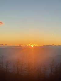 후지산 포토스팟, 죽음의숲 등 리뷰 🗻